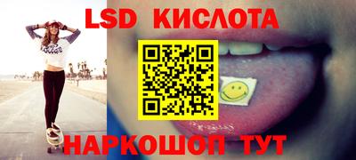 прущие грибы Краснокаменск