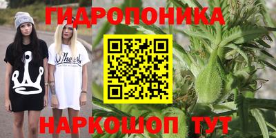 ешки Краснознаменск