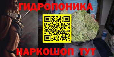 ешки Краснознаменск