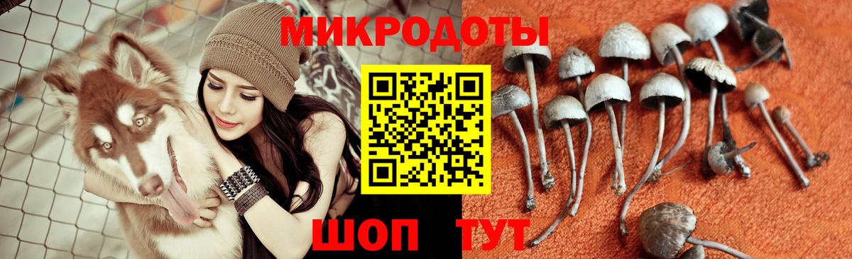 Мегион  Галлюциногенные грибы Magic Shrooms  Вход с VPN 